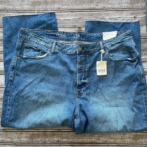 a.n.a blue jeans denim highest rise straight button fly raw hem plus 22W 22 nwt